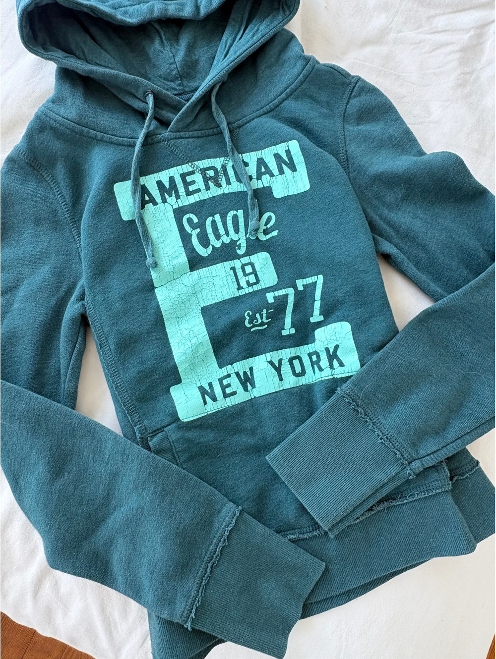Y2k American Eagle Outfitters Women's Medium Teal Graphic Hoodie Sweatshirt